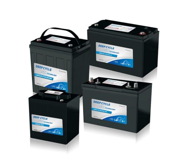 Leoch LDCL12-115-G31-T 330x173x220 31.4kg